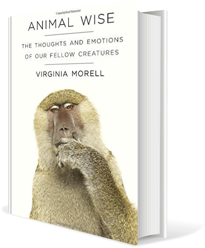 Animal Wise: The Thoughts and Emotions of Our Fellow Creatures