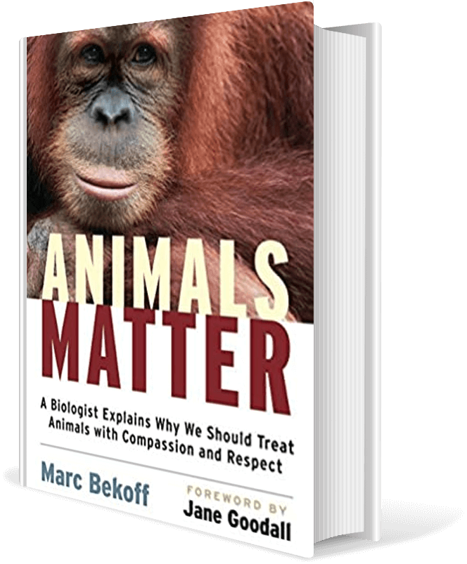 Animals Matter: A Biologist Explains Why We Should Treat Animals with Compassion and Respect