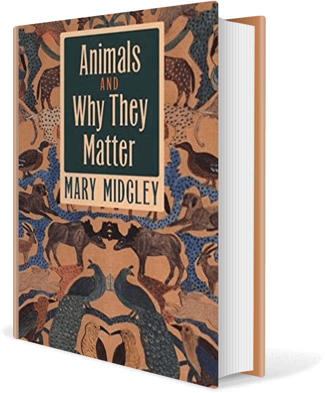 Animals and Why They Matter