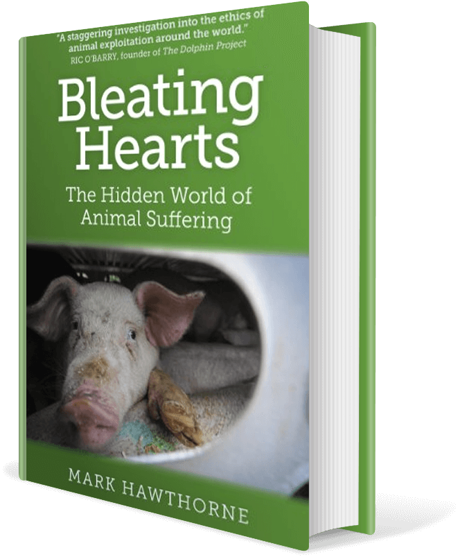 Bleating Hearts: The Hidden World of Animal Suffering