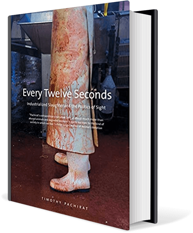 Every Twelve Seconds: Industrialized Slaughter and the Politics of Sight