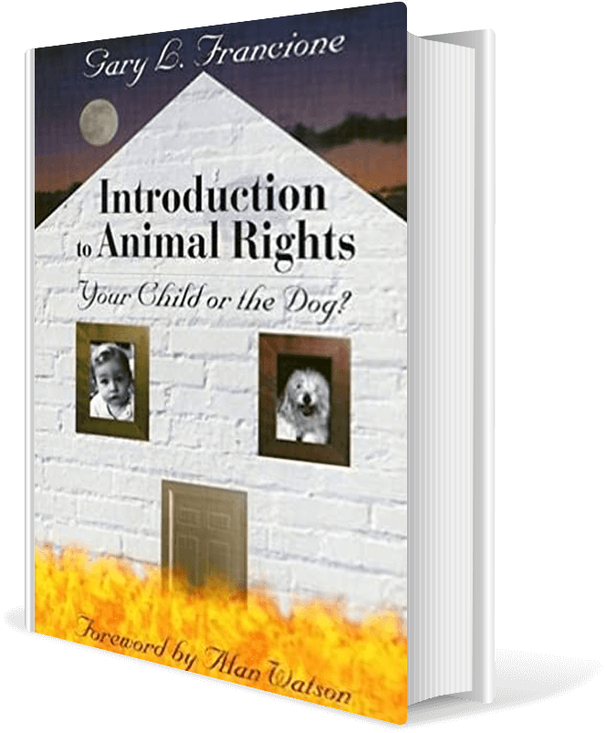 Introduction to Animal Rights: Your Child or the Dog?