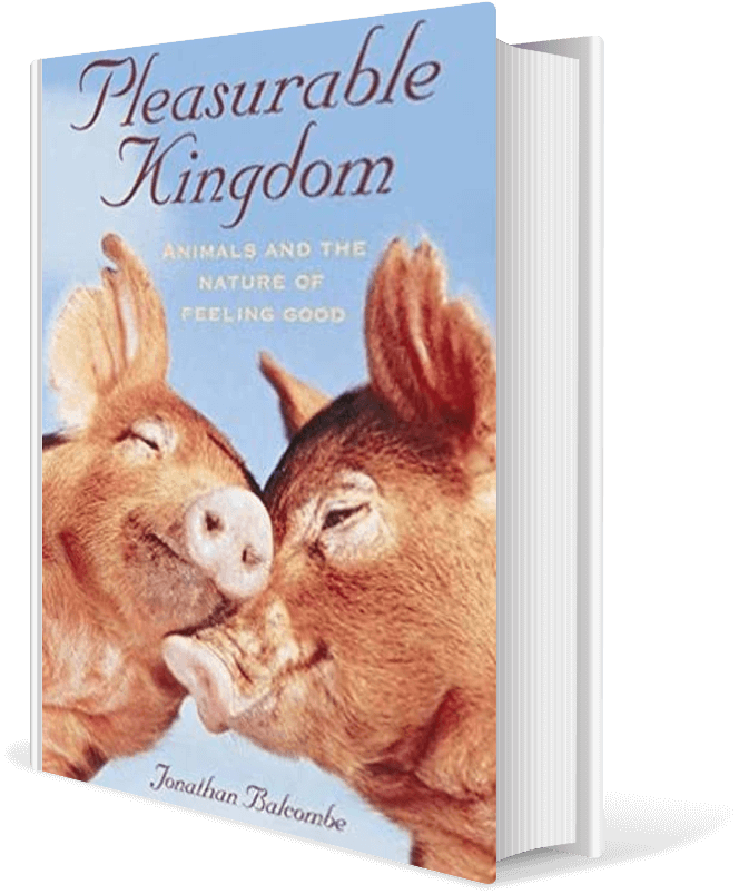 Pleasurable Kingdom: Animals and the Nature of Feeling Good