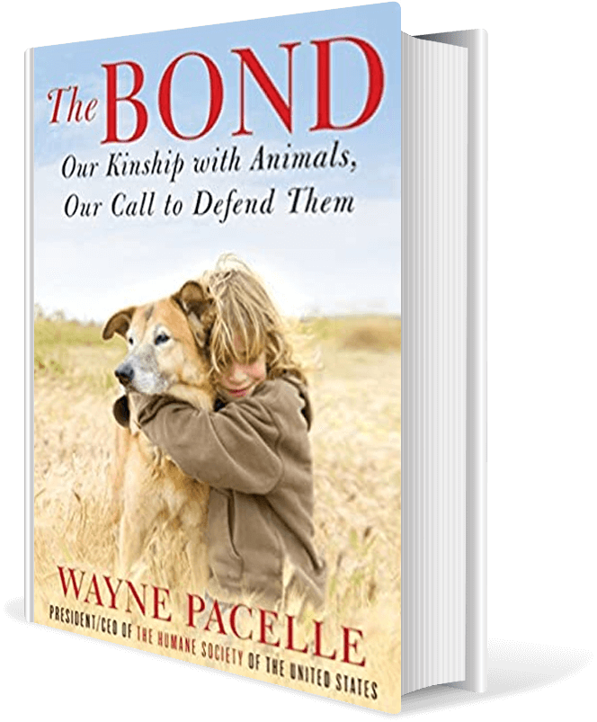 The Bond: Our Kinship with Animals, Our Call to Defend Them