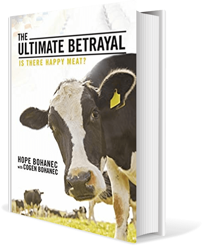 The Ultimate Betrayal: Is There Happy Meat?