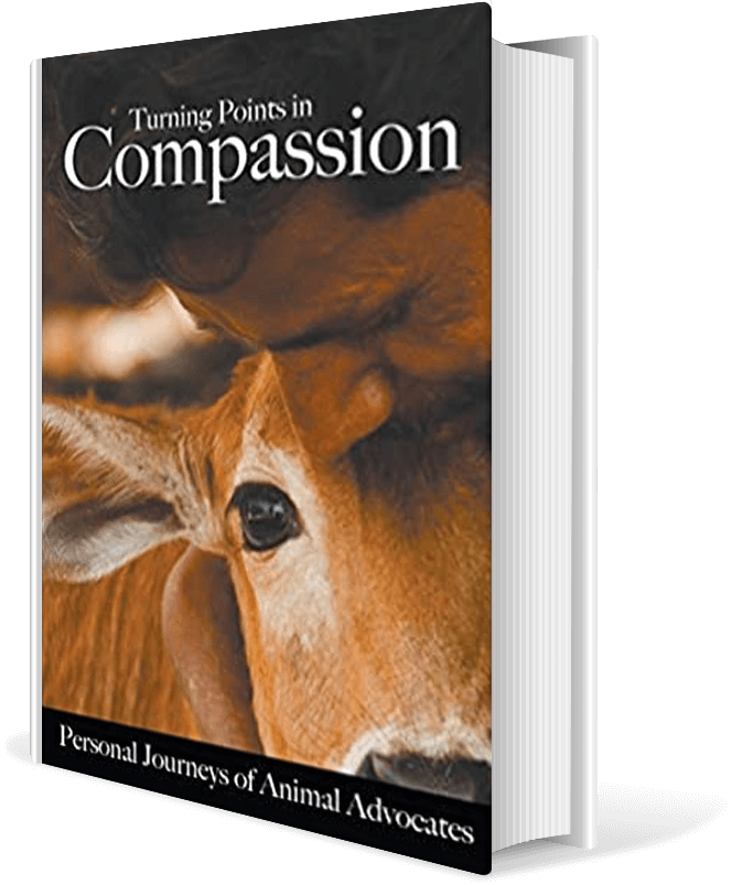Turning Points in Compassion: Personal Journeys of Animal Advocates