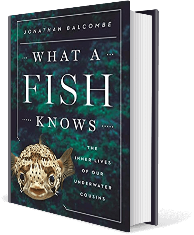 What a Fish Knows: The Inner Lives of Our Underwater Cousins