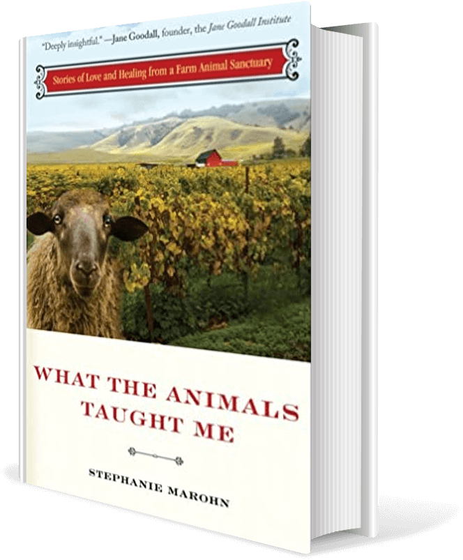 What the Animals Taught Me: Stories of Love and Healing from a Farm Animal Sanctuary