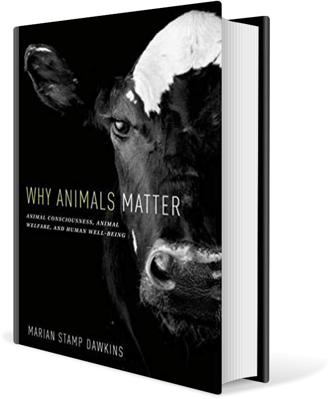Why Animals Matter: Animal consciousness, animal welfare, and human well-being