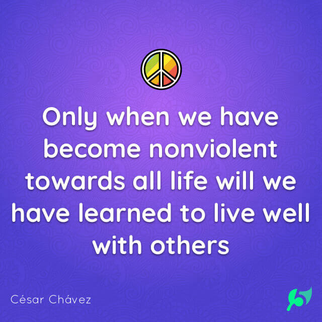 Only when we have become nonviolent towards all life will we have learned to live well with others