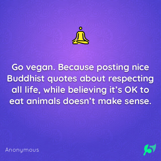 Go vegan. Because posting nice Buddhist quotes about respecting all life, while believing it’s OK to eat animals doesn’t make sense.