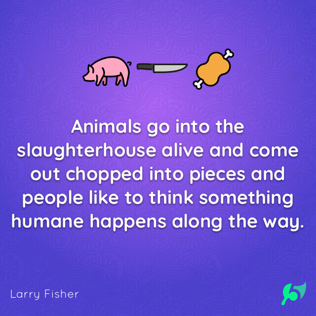 Animals go into the slaughterhouse alive and come out chopped into pieces and people like to think something humane happens along the way.