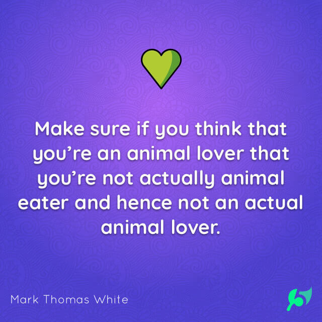 Make sure if you think that you’re an animal lover that you’re not actually animal eater and hence not an actual animal lover.