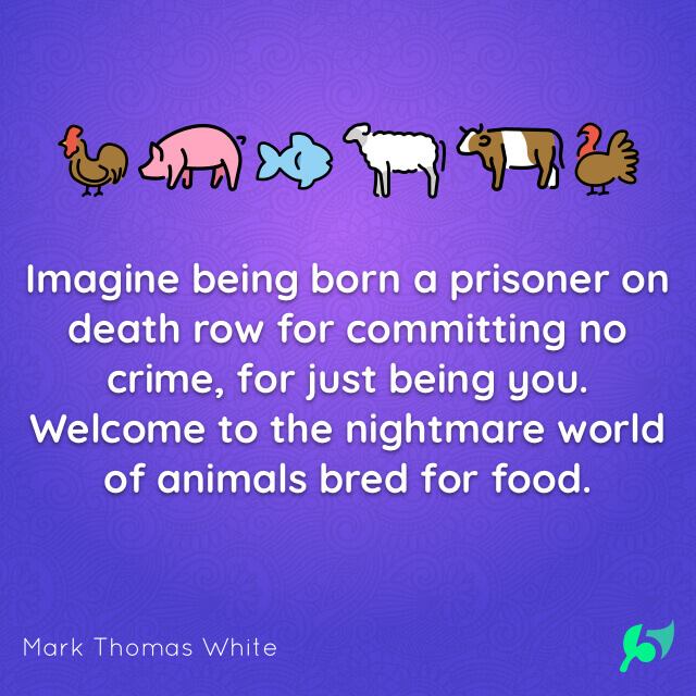 Imagine being born a prisoner on death row for committing no crime, for just being you. Welcome to the nightmare world of animals bred for food.