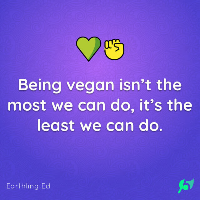 Being vegan isn’t the most we can do, it’s the least we can do.