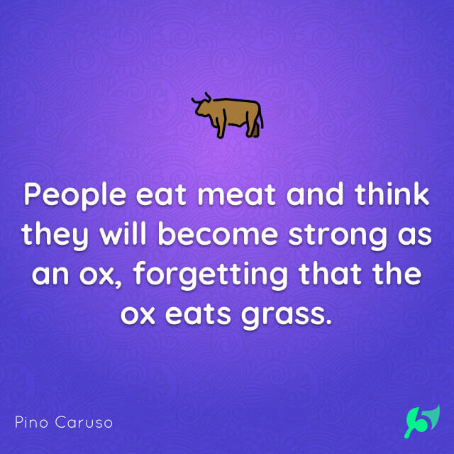 People eat meat and think they will become strong as an ox, forgetting that the ox eats grass.