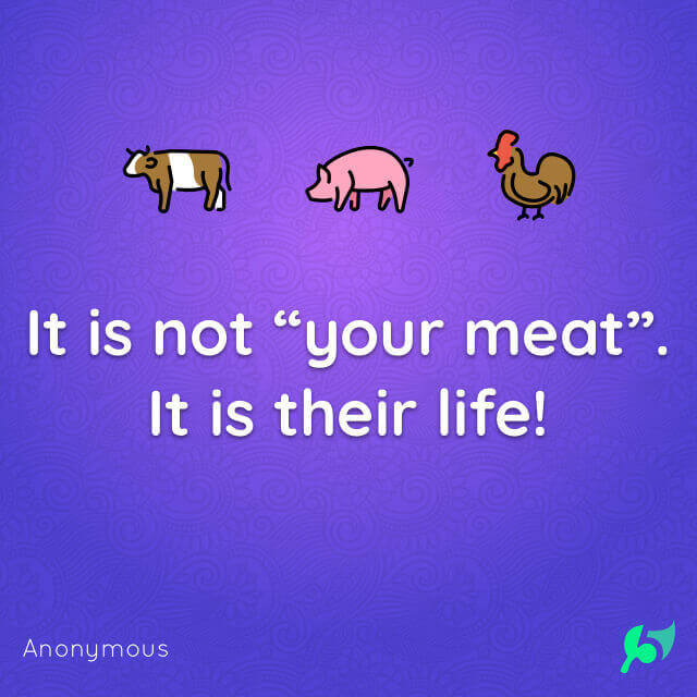 It is not “your meat”. It is their life!