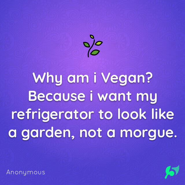 Why am i Vegan? Because i want my refrigerator to look like a garden, not a morgue.