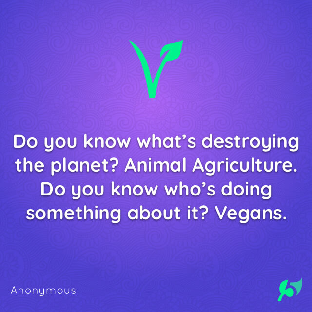 Do you know what’s destroying the planet? Animal Agriculture. Do you know who’s doing something about it? Vegans.