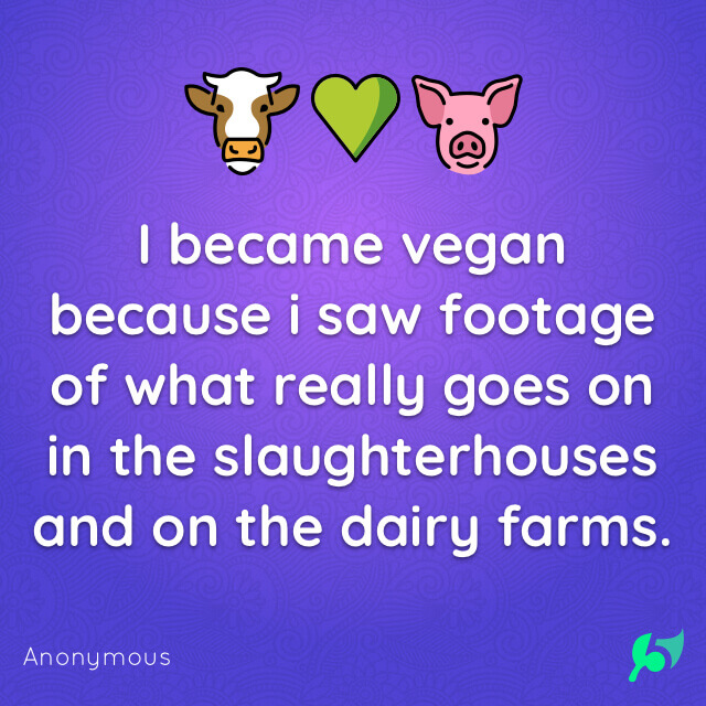 I became vegan because i saw footage of what really goes on in the slaughterhouses and on the dairy farms.