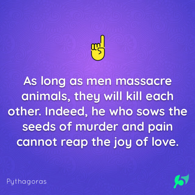 As long as men massacre animals, they will kill each other. Indeed, he who sows the seeds of murder and pain cannot reap the joy of love.