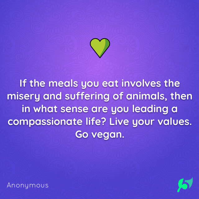 If the meals you eat involves the misery and suffering of animals, then in what sense are you leading a compassionate life? Live your values. Go vegan.