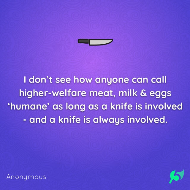 I don’t see how anyone can call higher-welfare meat, milk & eggs ‘humane’ as long as a knife is involved - and a knife is always involved.