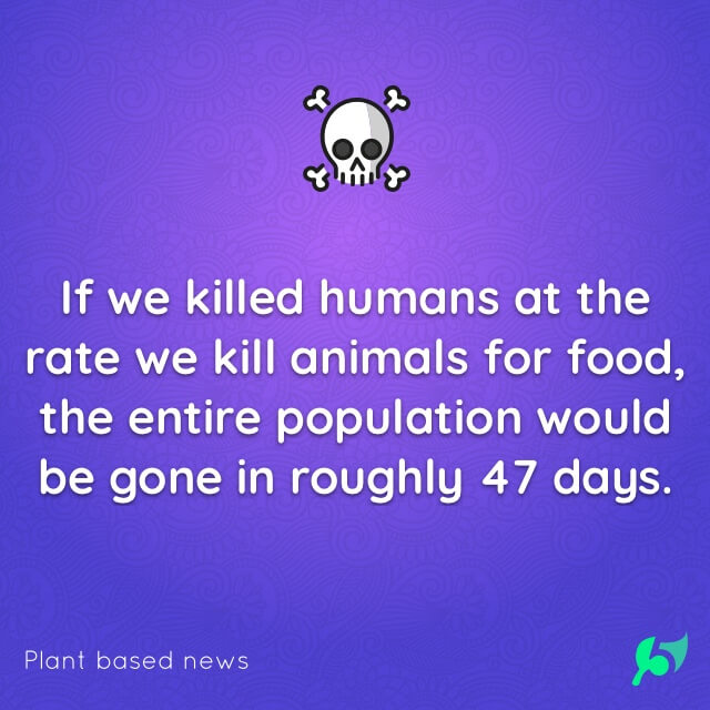If we killed humans at the rate we kill animals for food, the entire population would be gone in roughly 47 days.