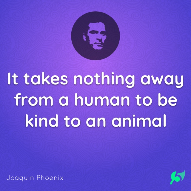 It takes nothing away from a human to be kind to an animal