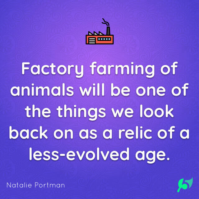 Factory farming of animals will be one of the things we look back on as a relic of a less-evolved age.
